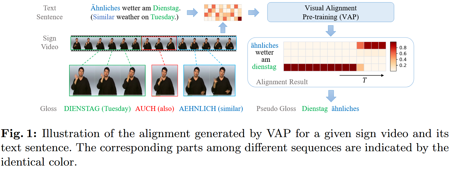 Illustration of the alignment generated by VAP for a given sign video and its text sentence