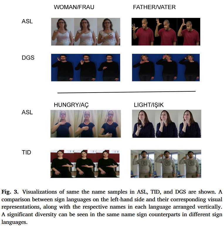 Visualizations of same the name samples in ASL, TID, and DGS are shown