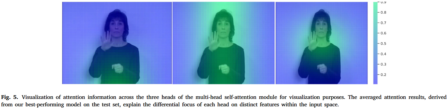 Visualization of attention information across the three heads of the multi-head self-attention module for visualization purposes