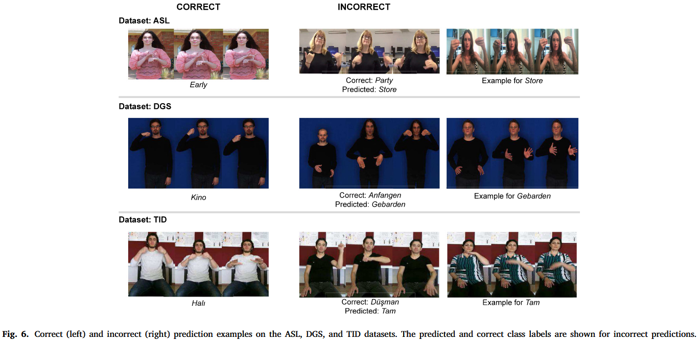 Correct (left) and incorrect (right) prediction examples on the ASL, DGS, and TID datasets. The predicted and correct class labels are shown for incorrect predictions